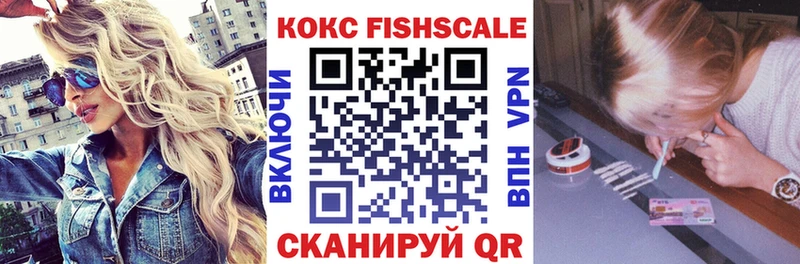 купить наркоту  мориарти как зайти  COCAIN FishScale  Пустошка 