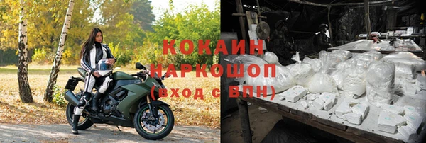 крисы Алексин