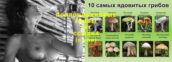 эйфоретик Покров