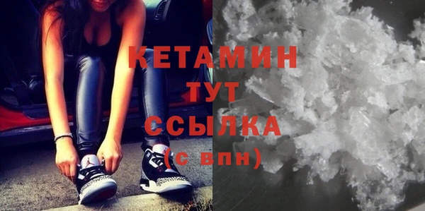 крисы Алексин